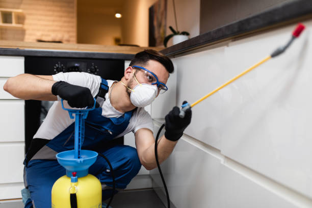 Best Pest Control Near Me in Benton City, WA