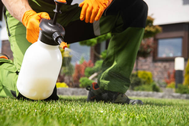 Best Best Pest Control Near Me  in Benton City, WA