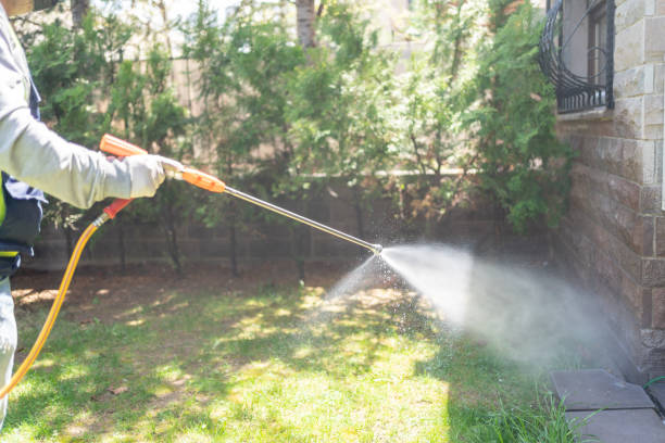 Flea Control Services in Benton City, WA