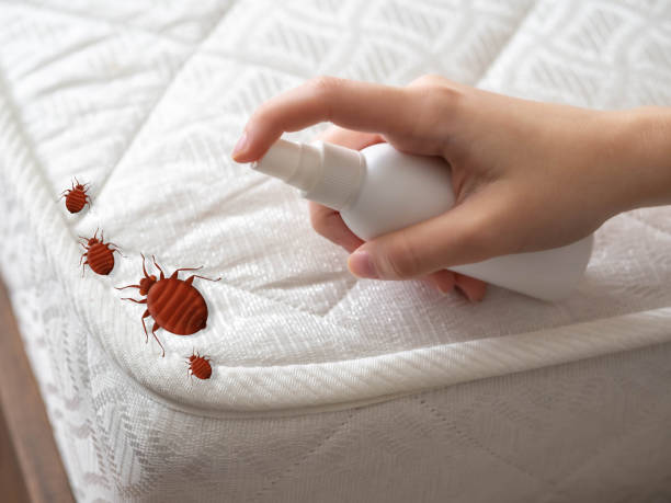 Best Ant Control Services  in Benton City, WA