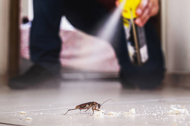 Trusted Benton City, WA Pest Control Experts