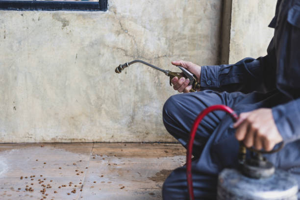 Best Pest Inspection Near Me  in Benton City, WA